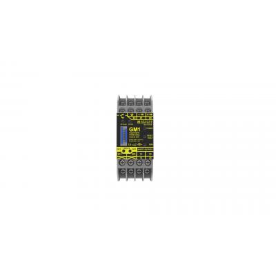 GM1 Safety Controller