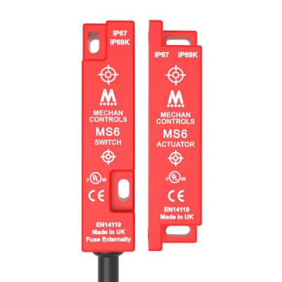 MS6