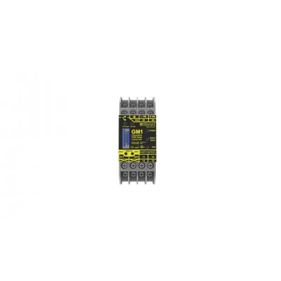 GM1 Safety Controller